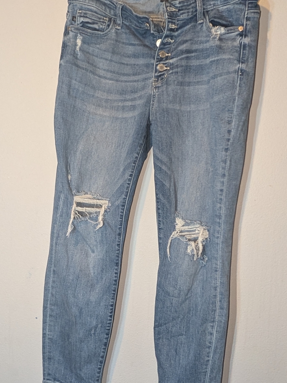 Judy Blue Light Blue Skinny Distressed Jeans